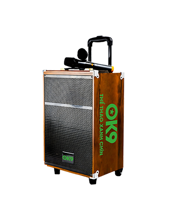Loa Bluetooth Cao Cấp